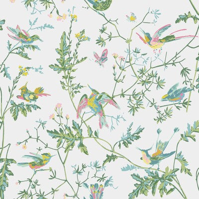 Hummingbirds