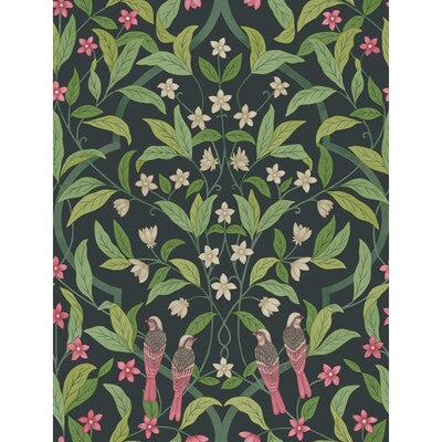 Jasmine & Serin Symphony