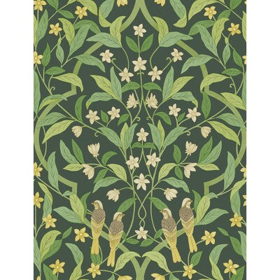 Jasmine & Serin Symphony