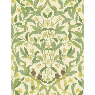 Jasmine & Serin Symphony