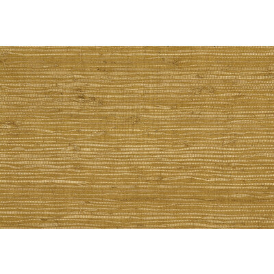 Maize