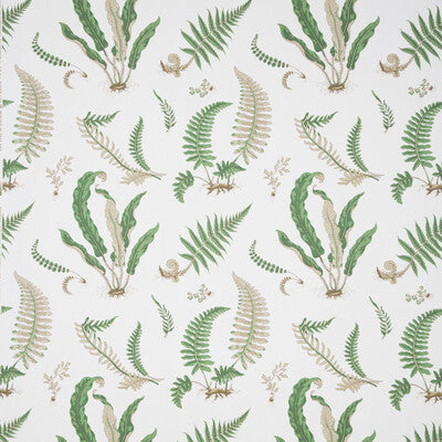 Lee Jofa 31032