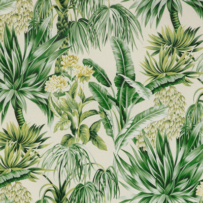 Lee Jofa Caluya Print