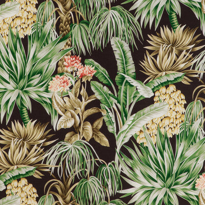 Lee Jofa Caluya Print