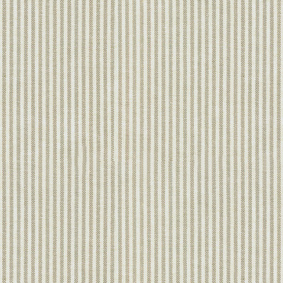 Lee Jofa Captiva Ticking