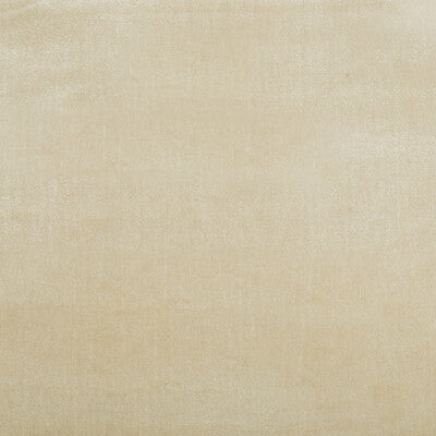 Lee Jofa Duchess Velvet