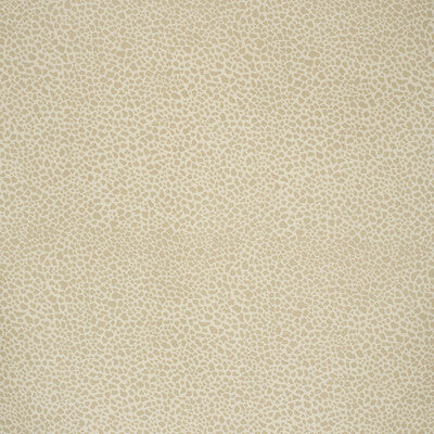 Lee Jofa Safari Cotton