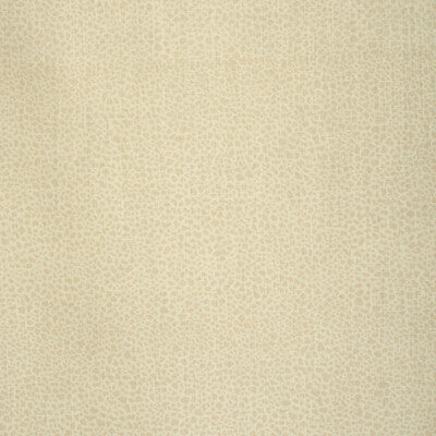 Lee Jofa Safari Linen