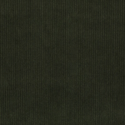 Lee Jofa Saranac Cord