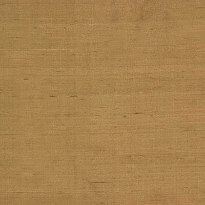 Lee Jofa Shayla Silk