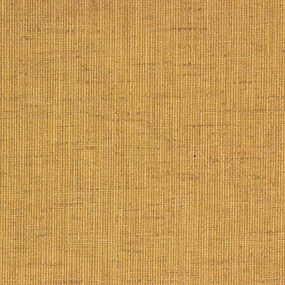 Lee Jofa St- Remy Textur