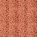 Lee Jofa Timbuktu Velvet