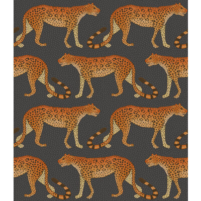 Leopard Walk