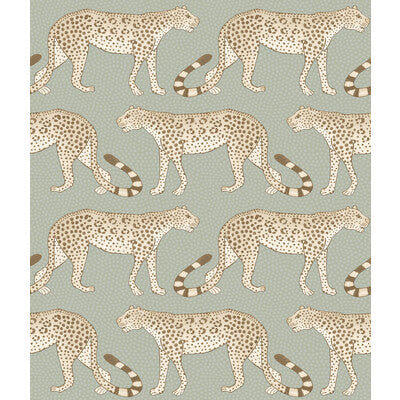 Leopard Walk
