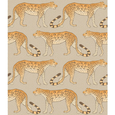 Leopard Walk