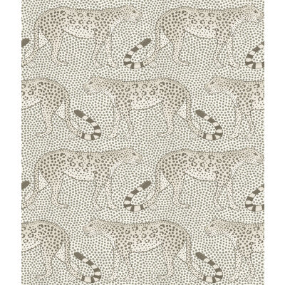Leopard Walk