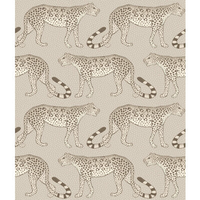 Leopard Walk