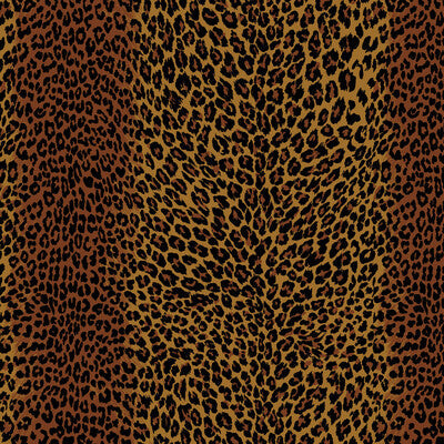 Leopard Wallpaper
