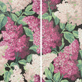 Lilac Grandiflora