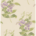 Madras Violet