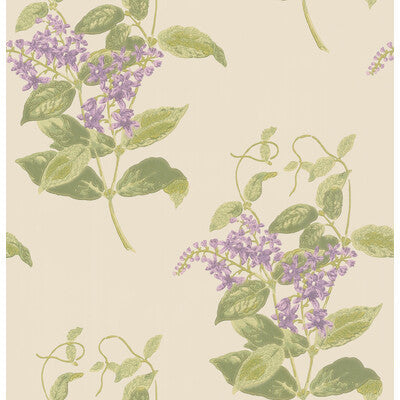 Madras Violet