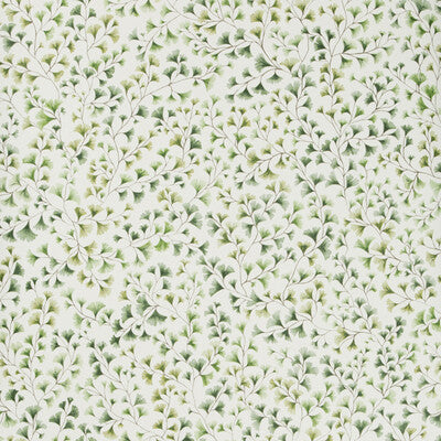 Maidenhair