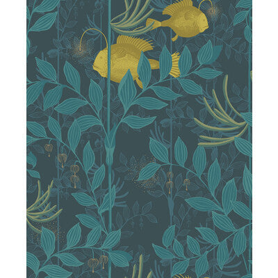 Nautilus