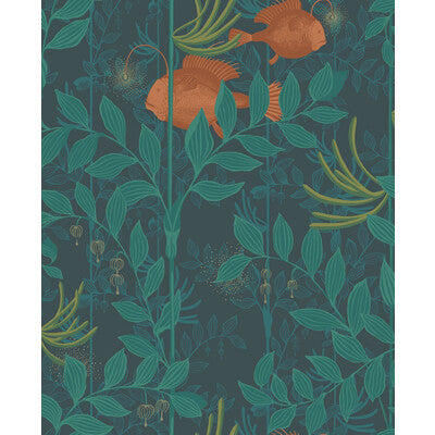 Nautilus