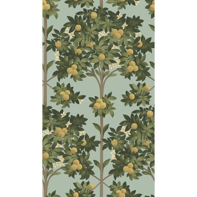 Orange Blossom