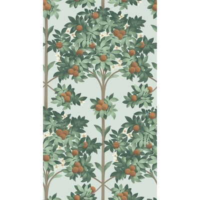 Orange Blossom