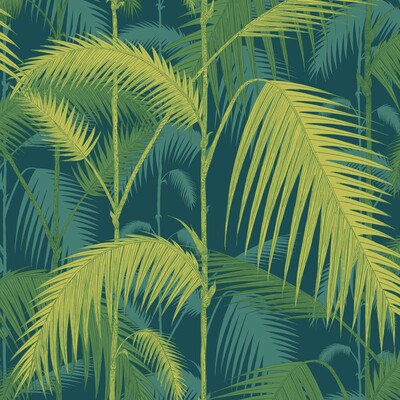 Palm Jungle