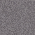 Pebble