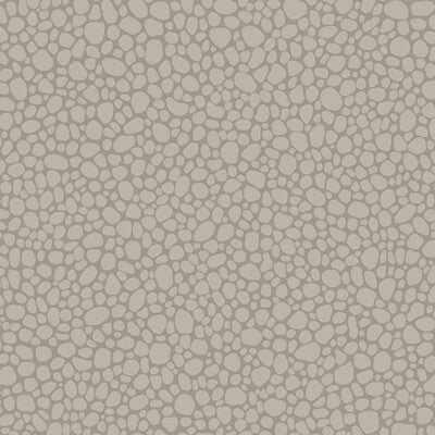 Pebble