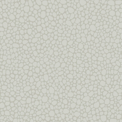 Pebble