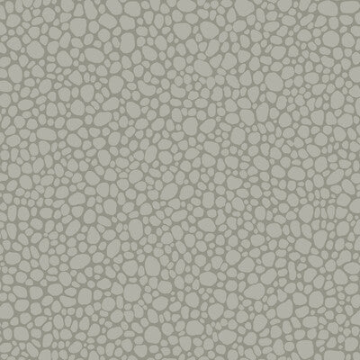 Pebble