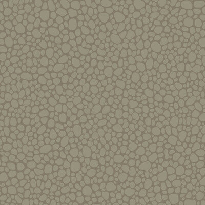 Pebble