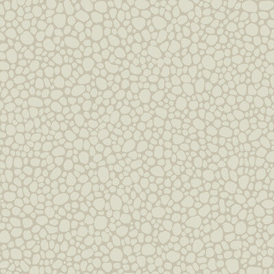 Pebble