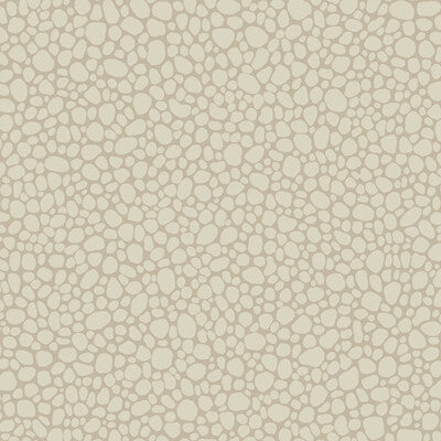 Pebble