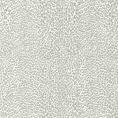 Petit Leopard Wallpaper