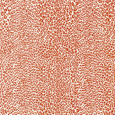 Petit Leopard Wallpaper