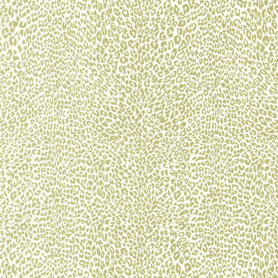 Petit Leopard Wallpaper