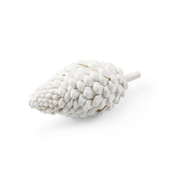 Pine Cone - Blanc De Chine