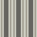 Polo Stripe