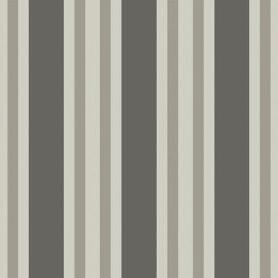 Polo Stripe