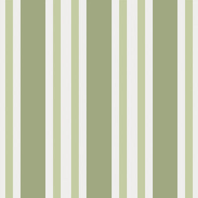 Polo Stripe