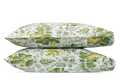 Standard / Citrus