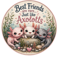 Rare Friends Axolotls 10" Wreath Sign, Home Decor, The Ritzy Cactus
