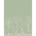 Seasonal Woods