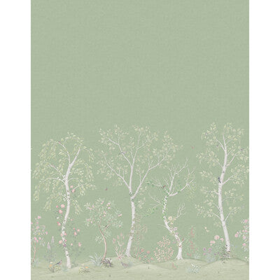 Seasonal Woods