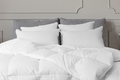 Sierrra Down Alternative Pillow